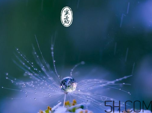 2017年寒露會(huì)下雨嗎？寒露下雨好嗎？