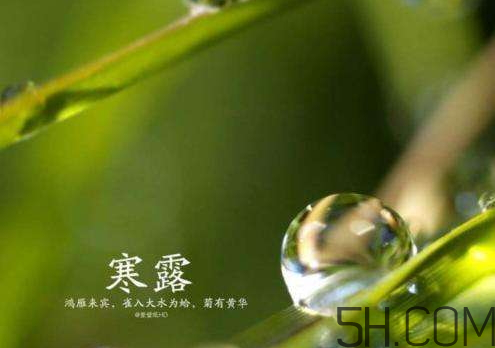 2017年寒露會(huì)下雨嗎？寒露下雨好嗎？