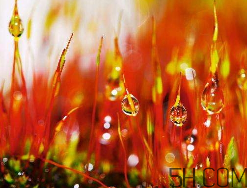 2017年寒露會(huì)下雨嗎？寒露下雨好嗎？