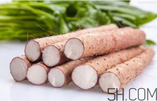山藥和白蘿卜可以一起燉湯嗎？冬天吃山藥的五大好處
