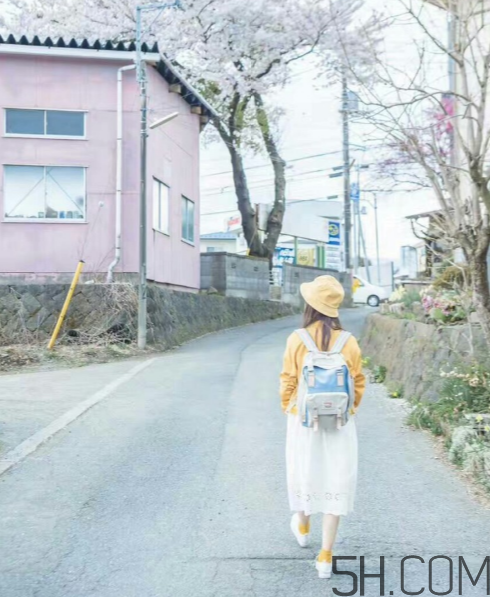 doughnut雙肩包怎么樣？doughnut雙肩包價格