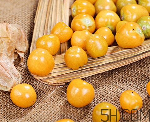 姑娘果是燈籠果嗎？姑娘果有幾種？