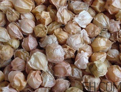 姑娘果是燈籠果嗎？姑娘果有幾種？