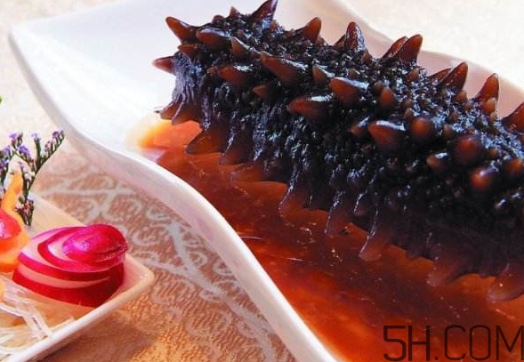 海參怎么挑？海參怎么選購？