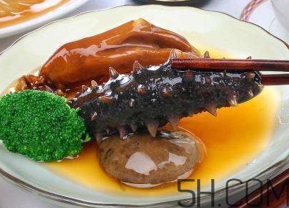 海參是海鮮嗎？海參是動(dòng)物還是植物？