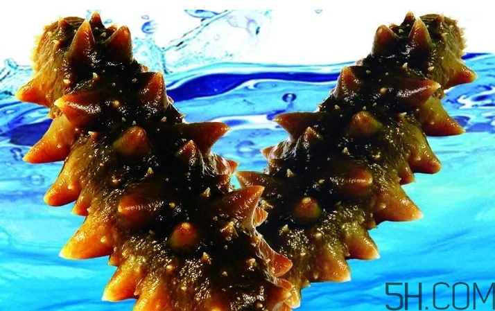 海參是酸性還是堿性？海參是涼性還是熱性？