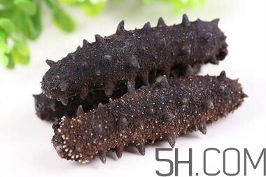 海參是越大越好嗎？海參的生長年限與營養(yǎng)價值有關(guān)嗎？