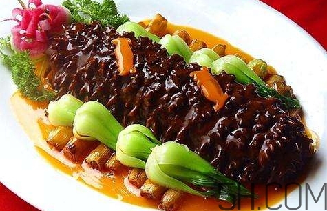 海參是高蛋白食物嗎？海參是素食嗎？