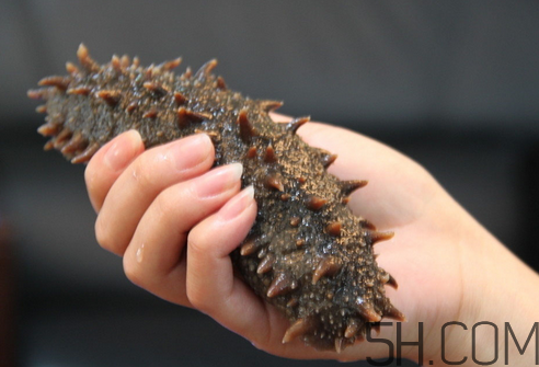 海參能和西紅柿一起吃嗎？海參和什么一起吃最好？