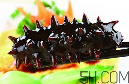 海參是高蛋白食物嗎？海參是素食嗎？