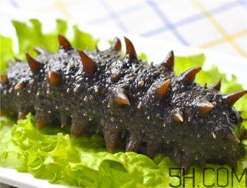 海參哪些部位不能吃？海參的禁忌人群