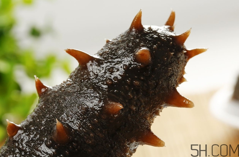 術(shù)后能吃海參嗎？術(shù)后吃海參的功效與作用