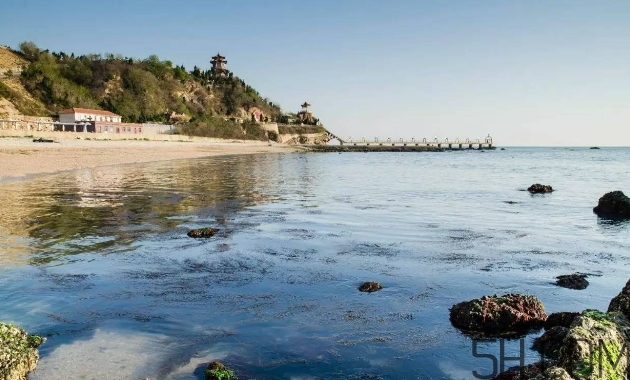 海參顏色深好還是淺好？海參顏色發(fā)白時(shí)怎么回事？