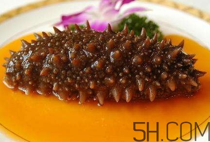 海參怎么挑？海參怎么選購？