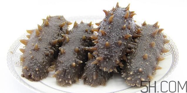 海參是越大越好嗎？海參的生長年限與營養(yǎng)價值有關(guān)嗎？