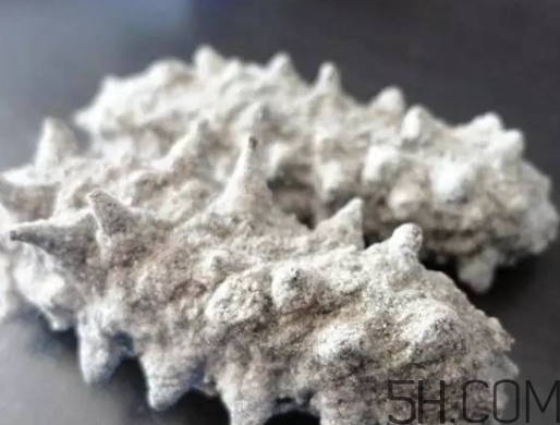 海參顏色深好還是淺好？海參顏色發(fā)白時(shí)怎么回事？