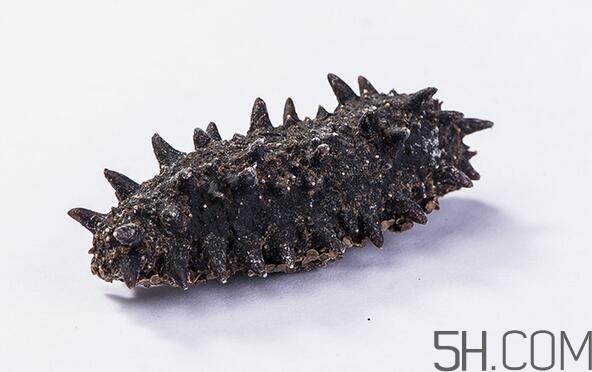 海參是越大越好嗎？海參的生長年限與營養(yǎng)價值有關(guān)嗎？