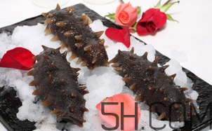 海參是酸性還是堿性？海參是涼性還是熱性？