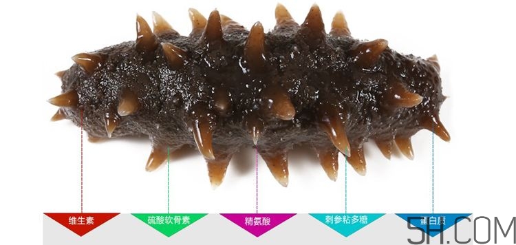 海參哪些部位不能吃？海參的禁忌人群