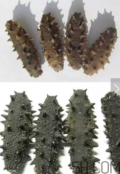 海參顏色深好還是淺好？海參顏色發(fā)白時(shí)怎么回事？