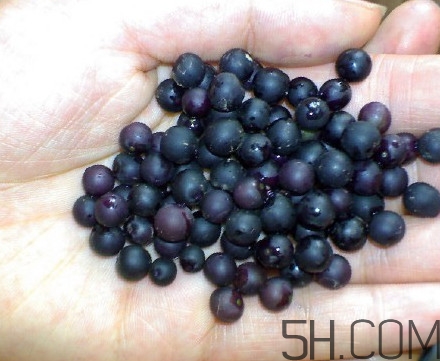 龍葵果可以治癌癥嗎？吃龍葵果有什么好處