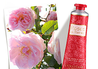 歐舒丹玫瑰皇后潤手霜怎么樣？好用嗎？