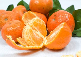 沙糖桔什么時(shí)候施鉀肥？沙糖桔什么時(shí)候種植