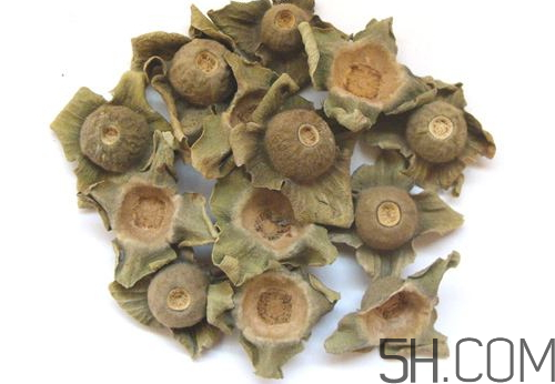 柿蒂治打嗝怎么煮水？柿蒂的功效與作用