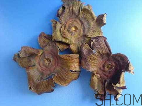 柿蒂治打嗝怎么煮水？柿蒂的功效與作用