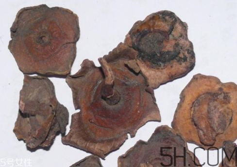 柿蒂是什么東西？柿蒂怎么吃？