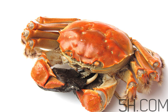 大閘蟹可以和南瓜一起吃嗎？螃蟹不能和什么水果一起吃？