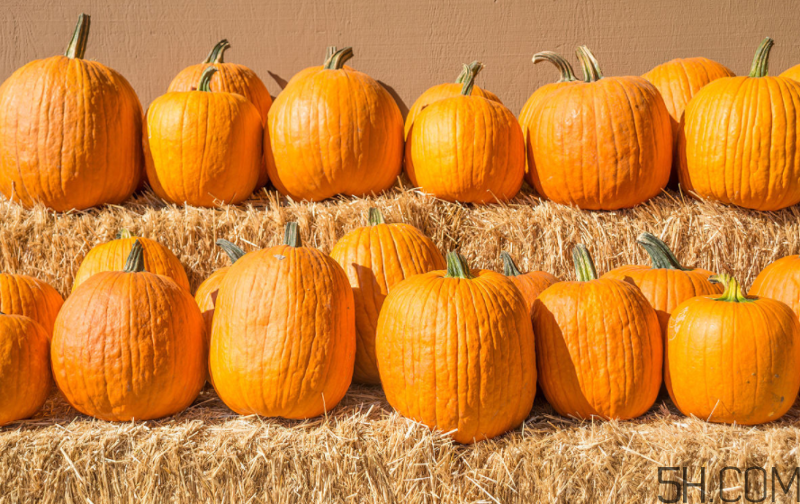 大閘蟹可以和南瓜一起吃嗎？螃蟹不能和什么水果一起吃？