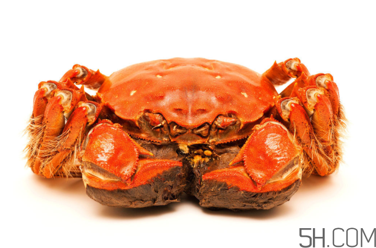 大閘蟹和南瓜一起吃會(huì)有什么后果？大閘蟹和南瓜一起吃要注意什么？