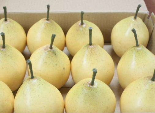 中秋節(jié)可以送水果嗎？中秋節(jié)送什么水果？