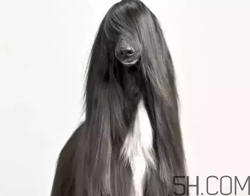 發(fā)蠟可以帶上飛機嗎？發(fā)蠟可以帶上高鐵嗎