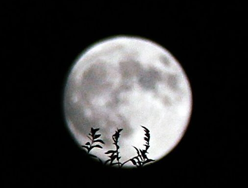 中秋節(jié)能上墳嗎？中秋節(jié)上墳買什么水果？