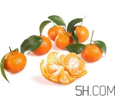 沙糖桔大的好吃還是小的？沙糖桔什么時(shí)候成熟