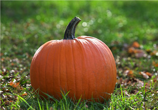 南瓜和桃子一起能長期吃嗎？吃南瓜皮膚變黃怎么辦？