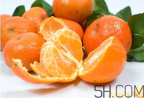 沙糖桔什么時候施鉀肥？沙糖桔什么時候種植