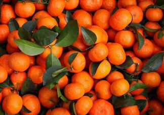 沙糖桔有籽嗎？沙糖桔有什么營(yíng)養(yǎng)價(jià)值