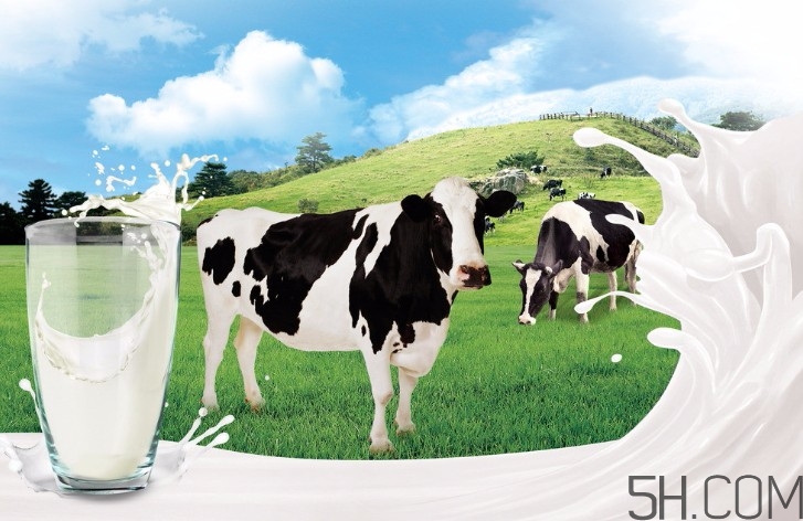 早上喝牛奶拉肚子是怎么回事？早上喝牛奶拉肚子怎么辦？