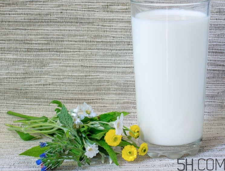 怎樣喝牛奶才健康？牛奶和什么一起喝效果最好？