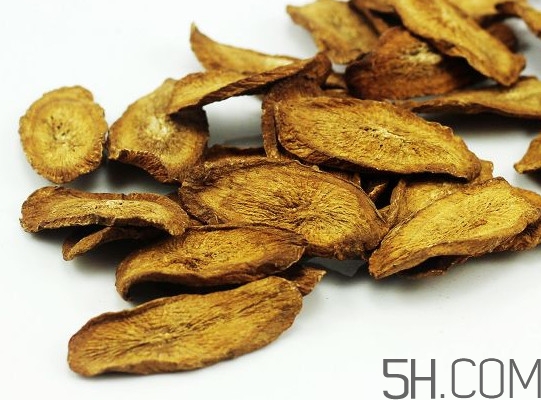 牛蒡是什么東西？牛蒡有什么功效？