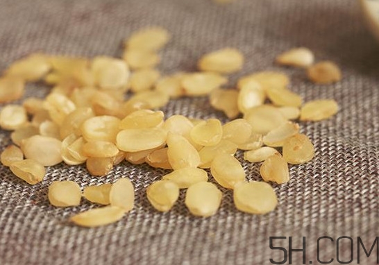 皂角米是熱性還是涼性？皂角米和雪蓮子的區(qū)別