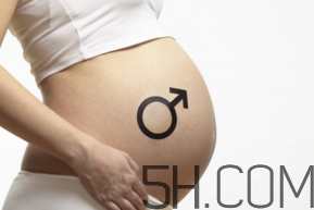 懷男孩和懷女孩的特征是什么？孕婦肚子硬生男生女？