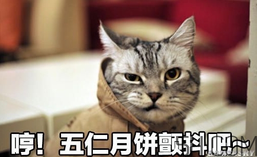 十仁月餅是哪十仁？十仁月餅好吃嗎