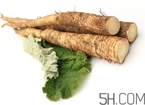 牛蒡是什么東西？牛蒡有什么功效？