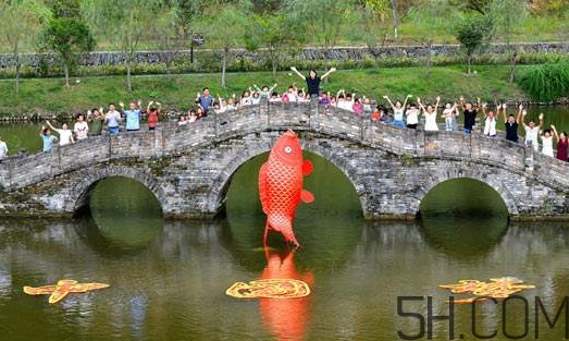 荷包紅鯉魚的做法 荷包紅鯉魚怎么養(yǎng)殖 荷包紅鯉魚的做法 荷包紅鯉魚怎么養(yǎng)殖