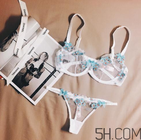 agent provocateur什么價(jià)位？agent provocateur內(nèi)衣價(jià)格