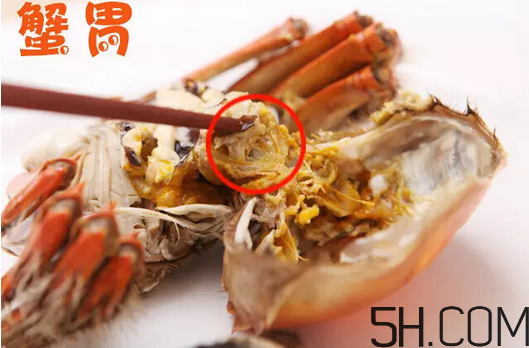 蟹胃在哪里?蟹胃在哪個(gè)部位圖解 蟹胃在哪里?蟹胃在哪個(gè)部位圖解